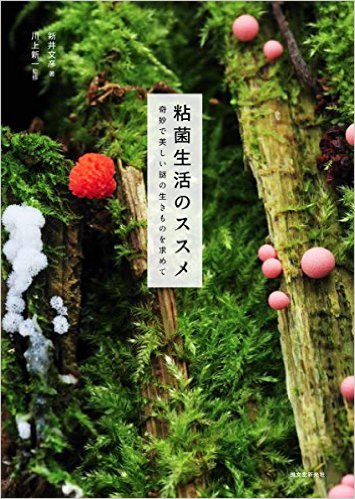 粘菌生活のススメ：奇妙で美しい謎の生きものを求めて