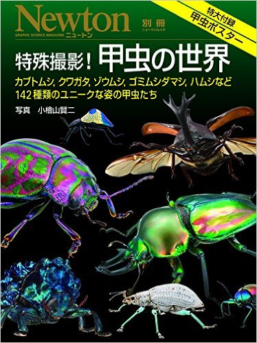 特殊撮影! 甲虫の世界