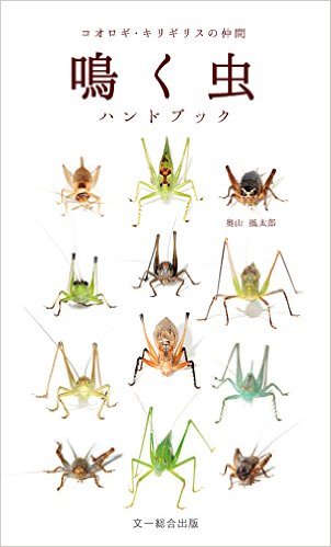 鳴く虫ハンドブック：コオロギ・キリギリスの仲間