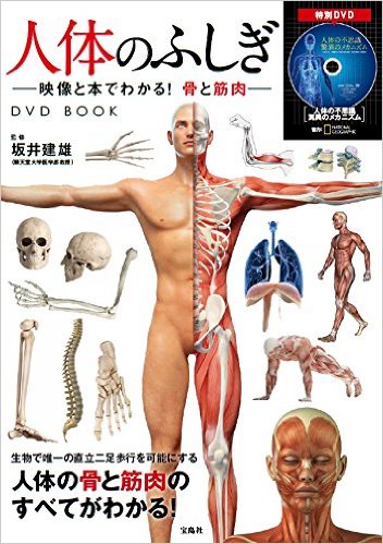 人体のふしぎ：映像と本でわかる! 骨と筋肉