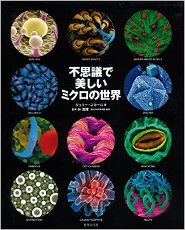 不思議で美しいミクロの世界