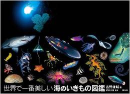 世界で一番美しい海のいきもの図鑑
