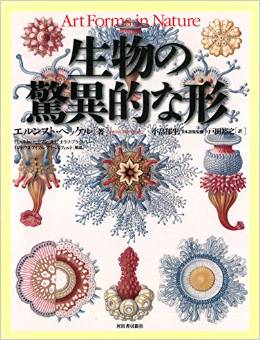 生物の驚異的な形 