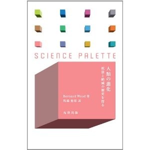 人類の進化: 拡散と絶滅の歴史を探る