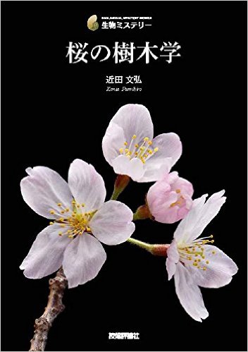 桜の樹木学 (生物ミステリー) 