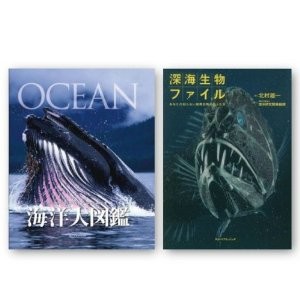 海洋生物図鑑セット