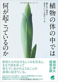 植物の体の中では何が起こっているのか
