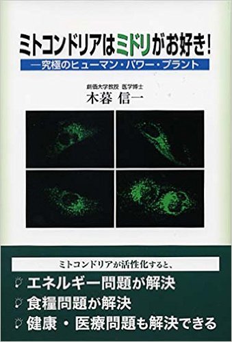 究極のヒューマン・パワー・プラント