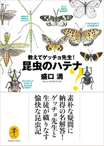 教えてゲッチョ先生！昆虫のハテナ